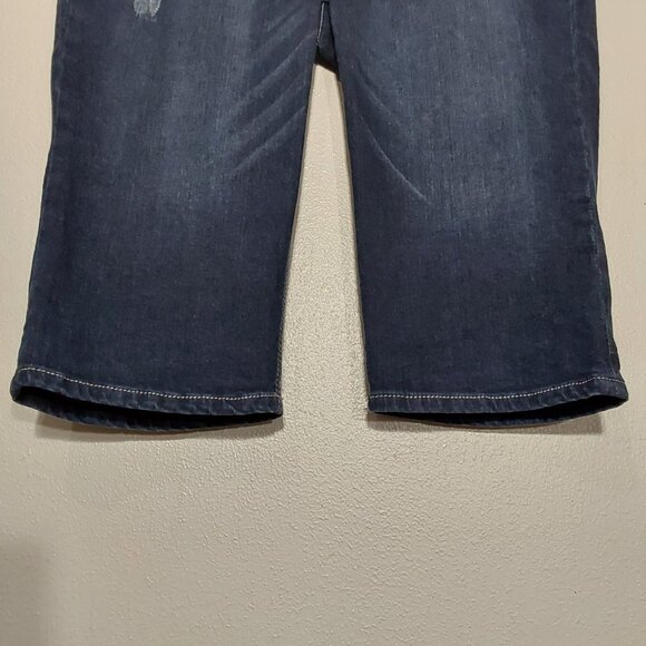 Democracy AbSolution Low-Rise Distressed Bermuda Jean Shorts Great Cond - 8 - Picture 5 of 10